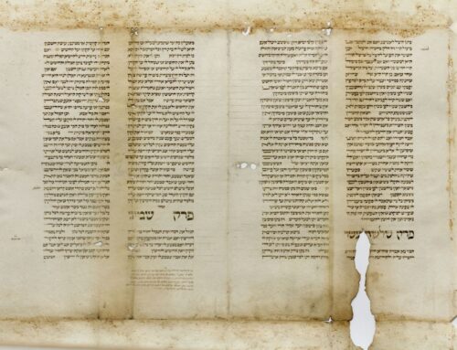 Frammenti di manoscritti ebraici medievali e moderni. Identificazione, catalogo e studio