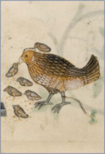 The Luttrell Psalter, British Library, MS 42130, f.166v (England, 1325-1340)