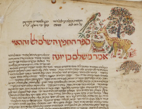 La circolazione di manoscritti ebraici del XV secolo tra Italia meridionale e Europa centrale